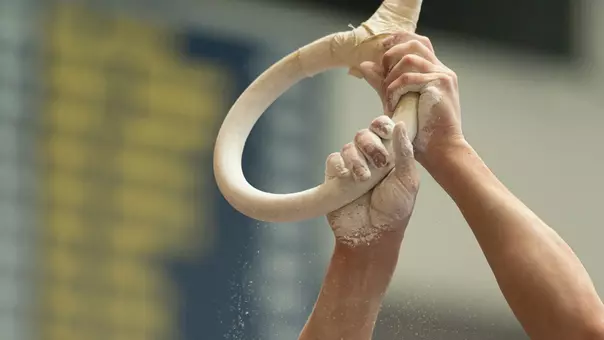Men's gymnastics still rings