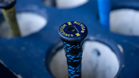 Michigan Wolverines baseball bat in dugout