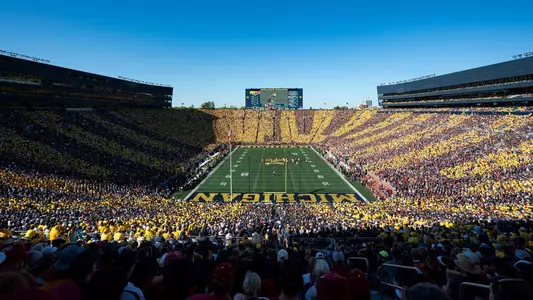 Michigan Stadium Stripe Out