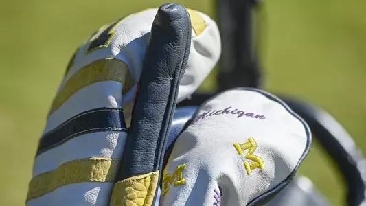 Women's Golf Covered Clubs