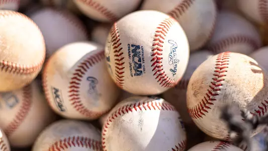 Michigan baseball