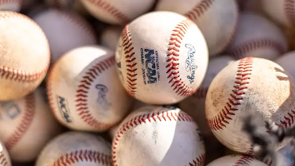 Michigan baseball