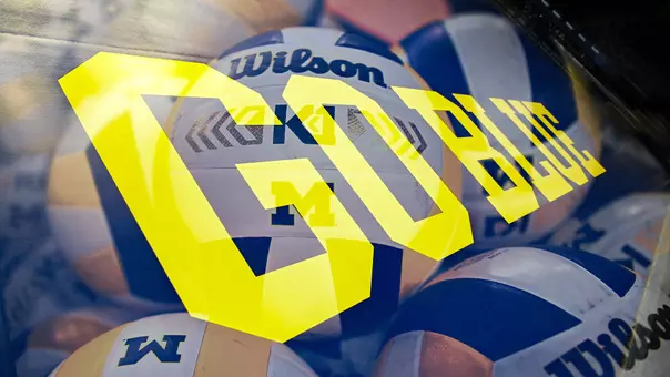 Volleyball Set of Volleyballs