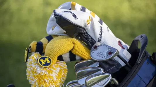 Women's Golf Clubs and Covers