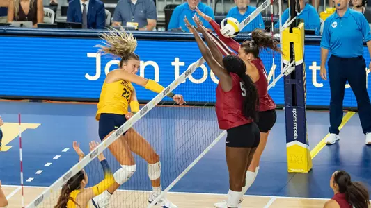 Sydney Schnichels