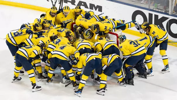 Ice hockey team huddle around net