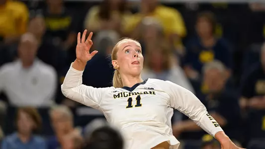 Megan Ingersoll