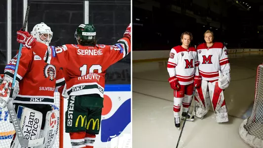 Swedish Hockey Combo Photo