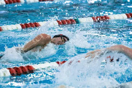 Men's Swimming