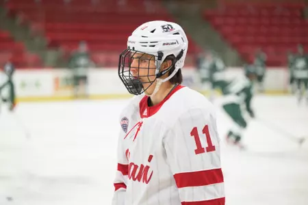 Hallén v. Michigan State