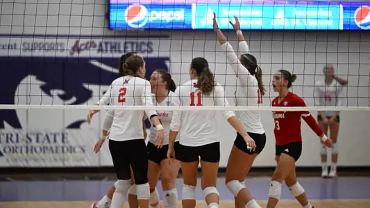 Volleyball Celebration