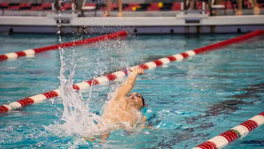 Northwestern Meet Swim and Dive Photo