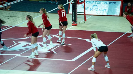 VB Team Action Picture