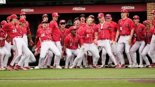 Baseball Celebration