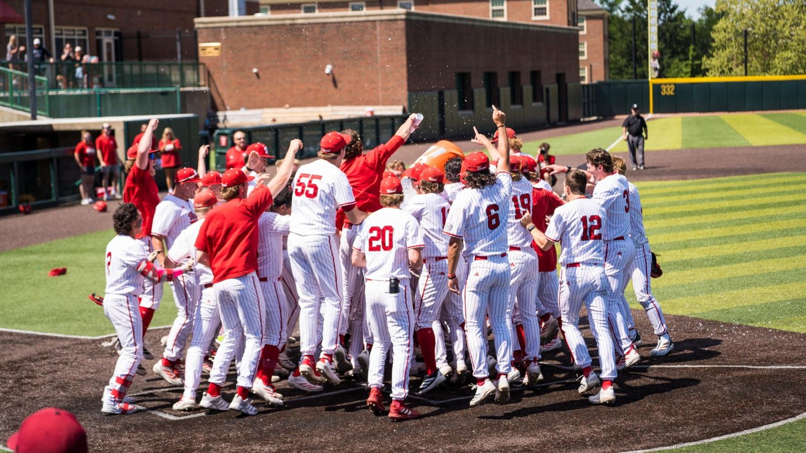 Baseball Celebration