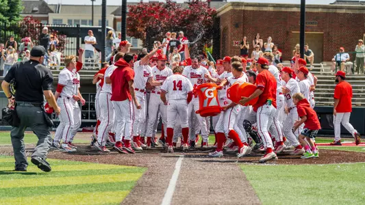Baseball Celebration