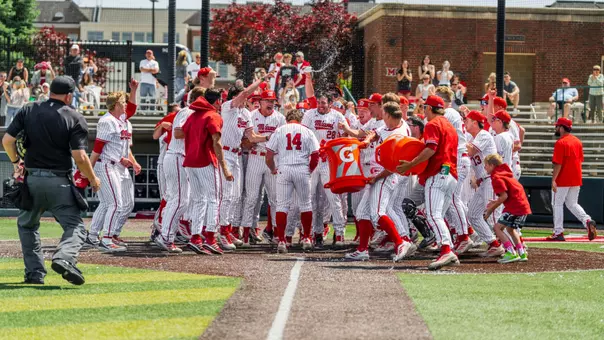Baseball Celebration