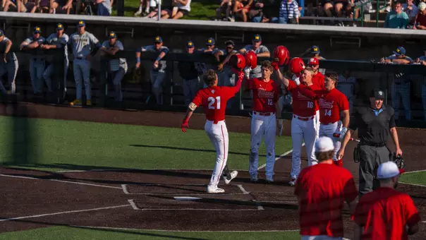 Baseball Celebration
