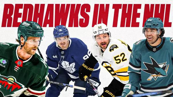 RedHawks in the NHL