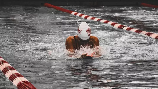 Swim/Dive