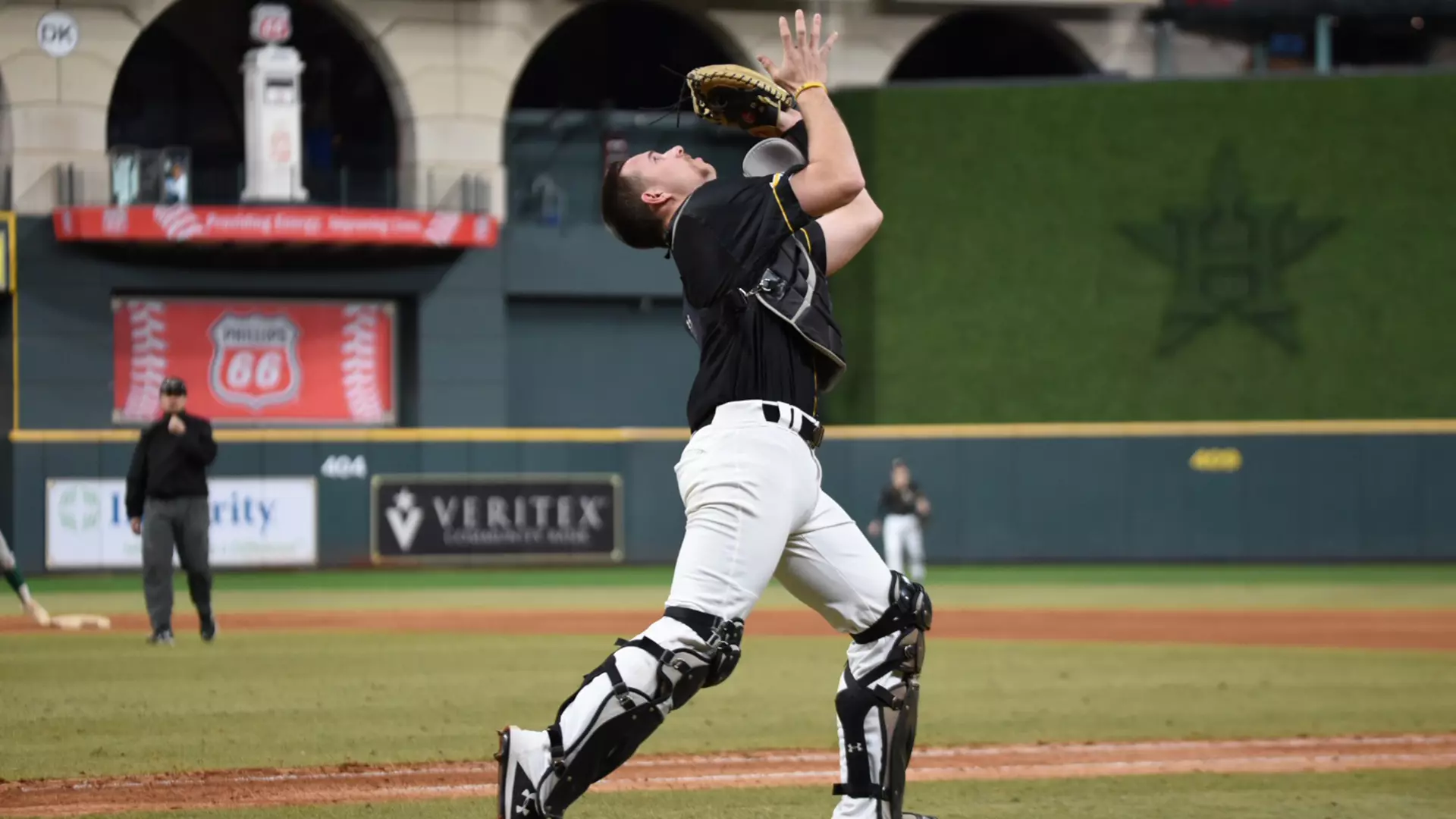 hwi arkansas-monticello