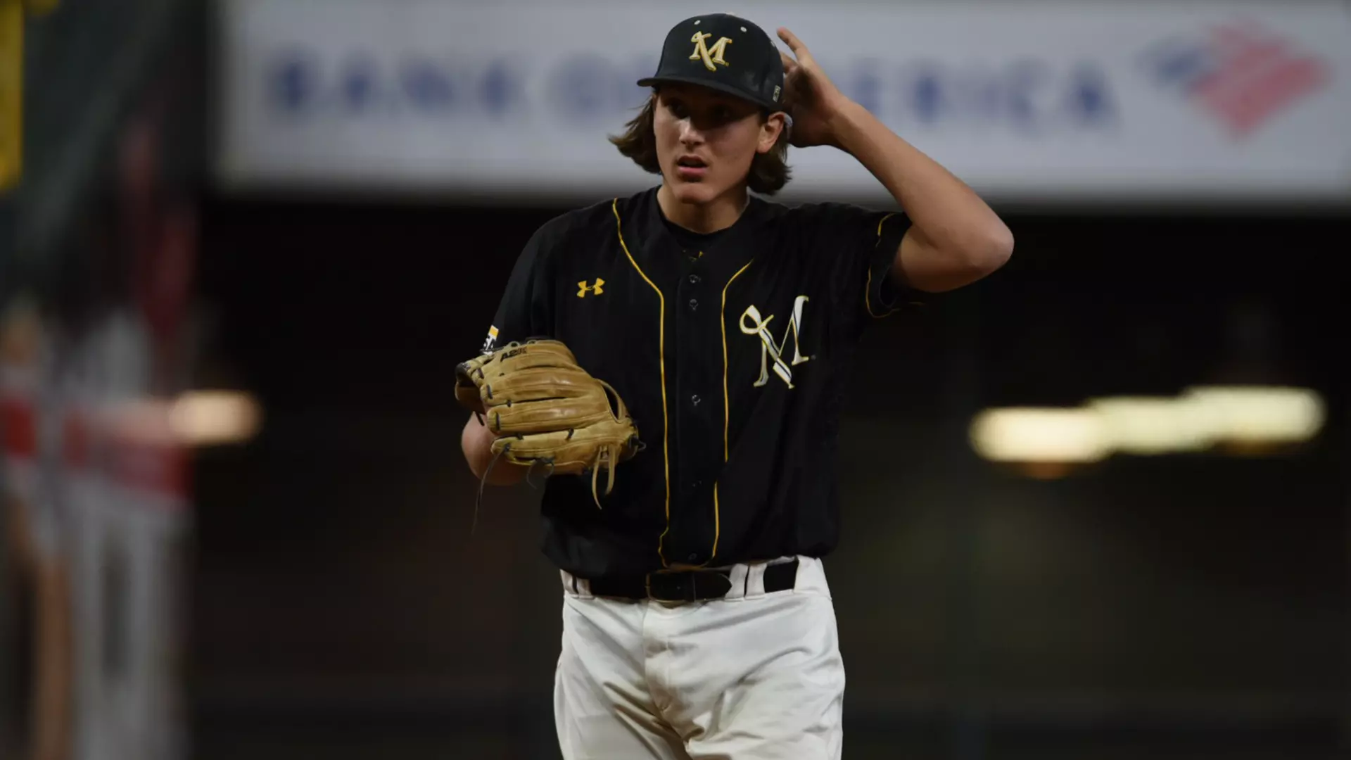 hwi arkansas-monticello