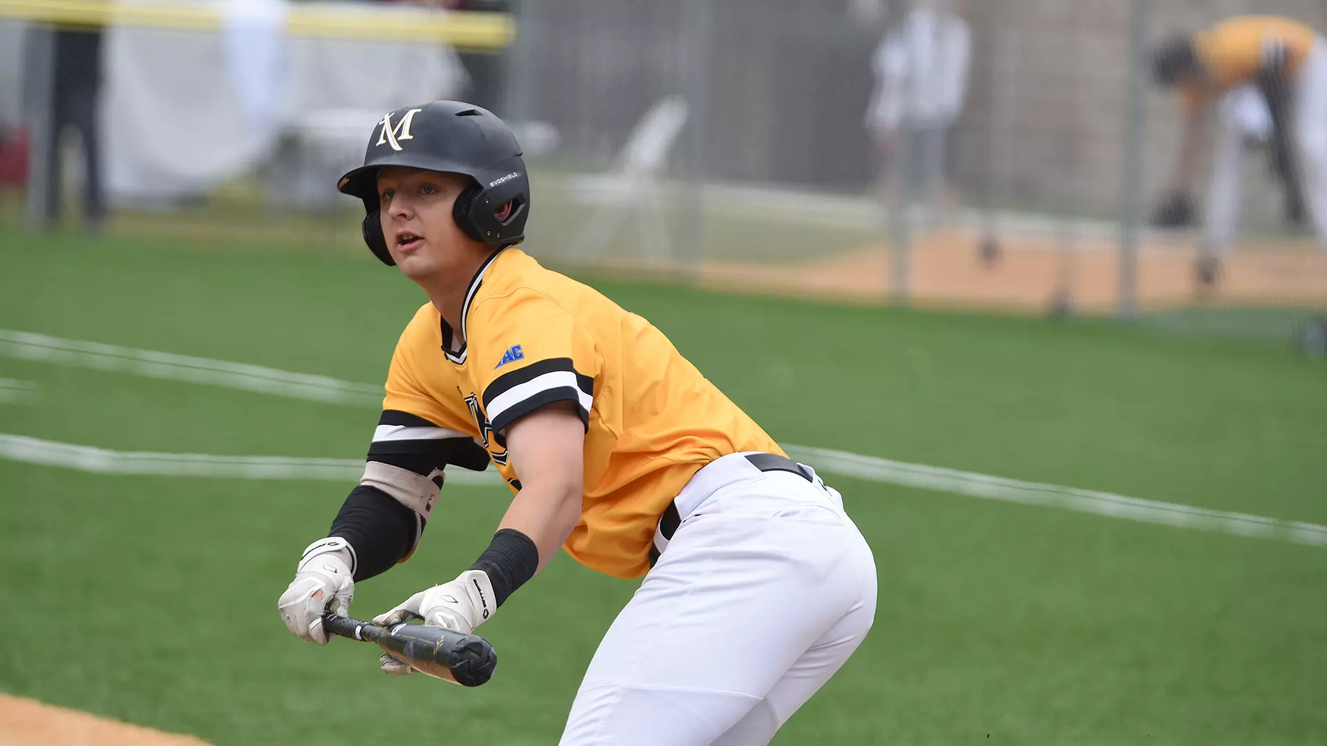 Millersville vs. Seton Hill