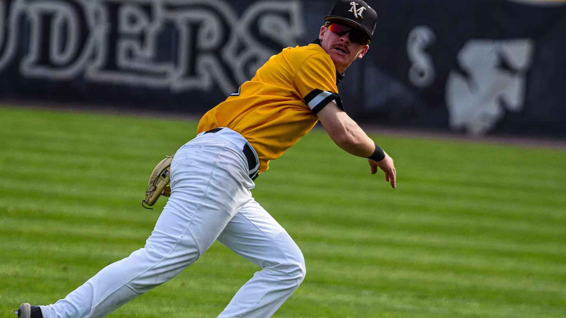 mansfield gms 3 and 4