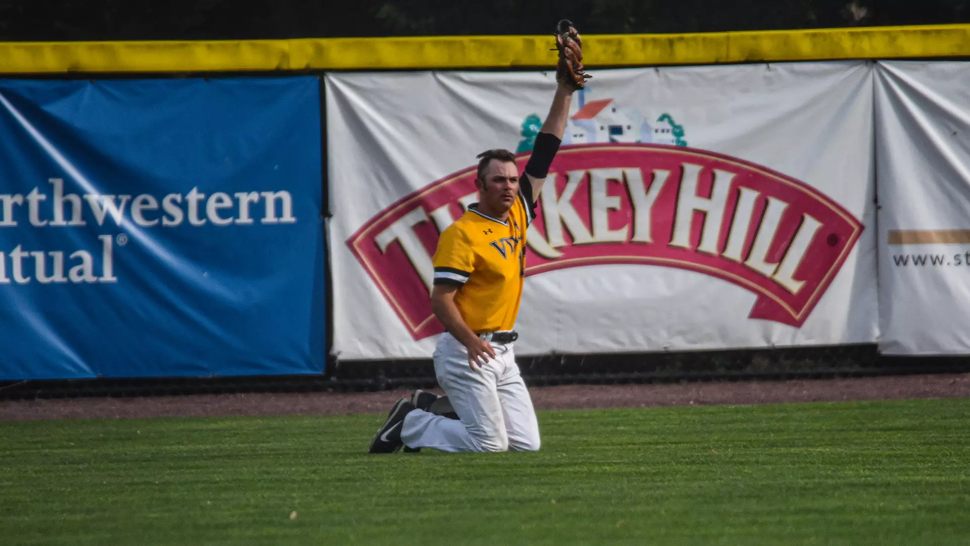 mansfield gms 3 and 4