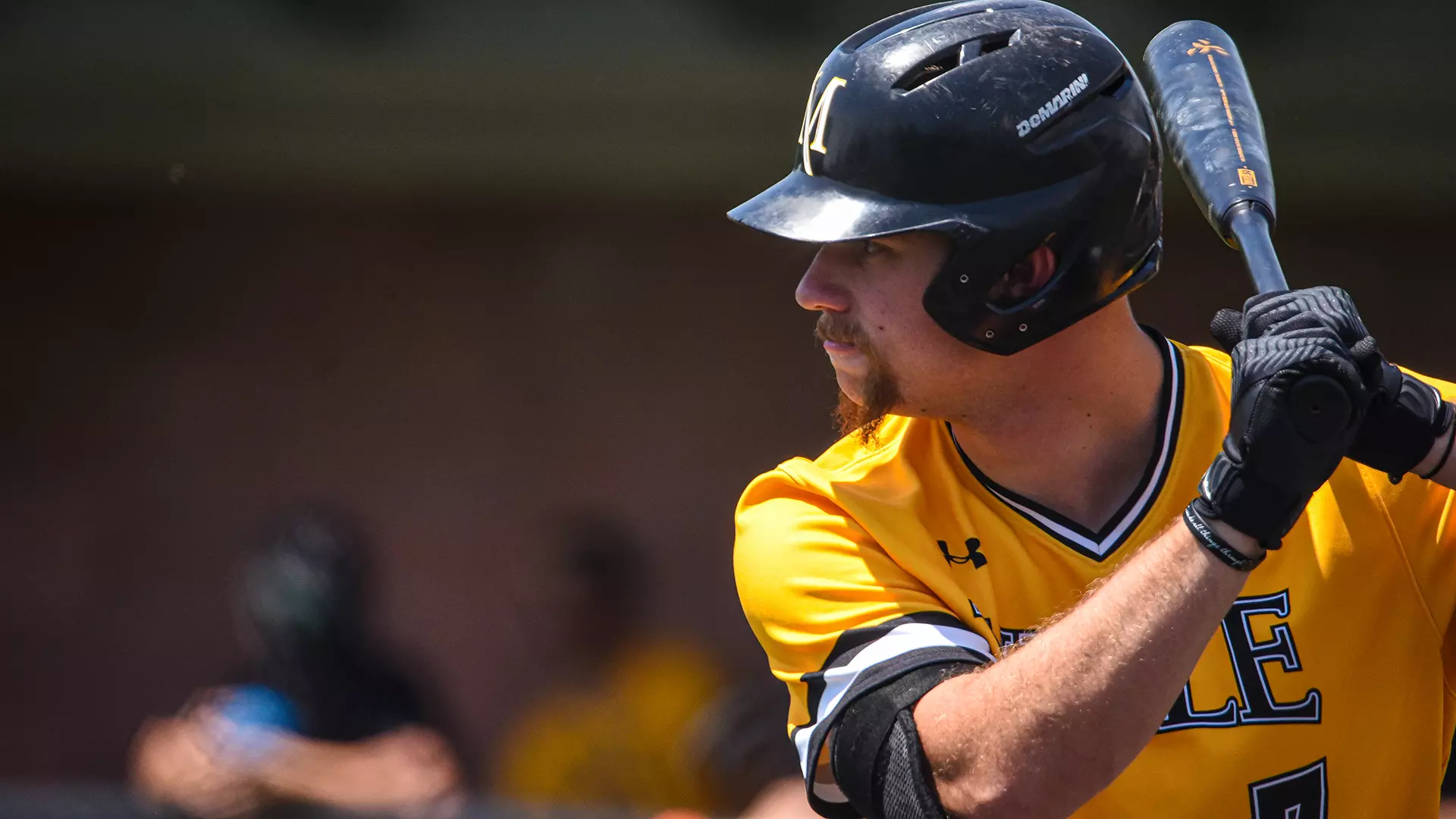 mansfield gms 3 and 4