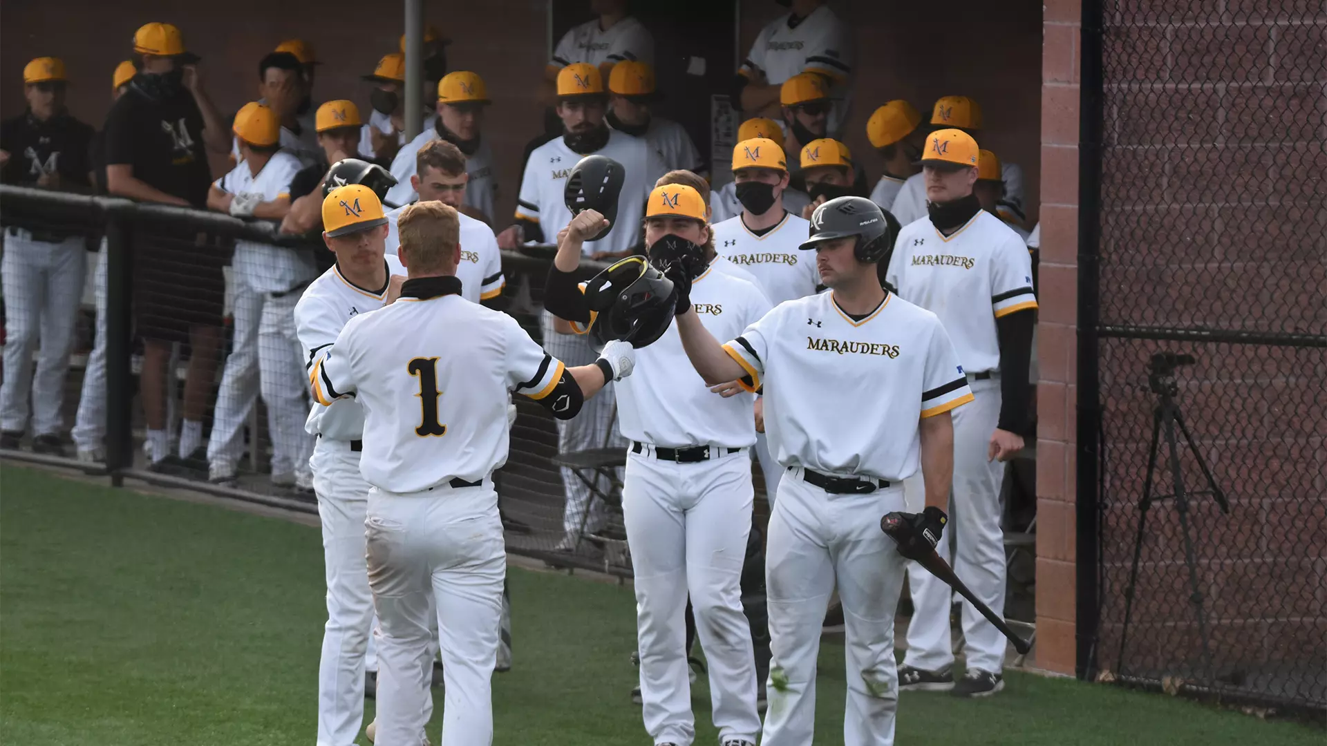 Baseball vs. Shepherd