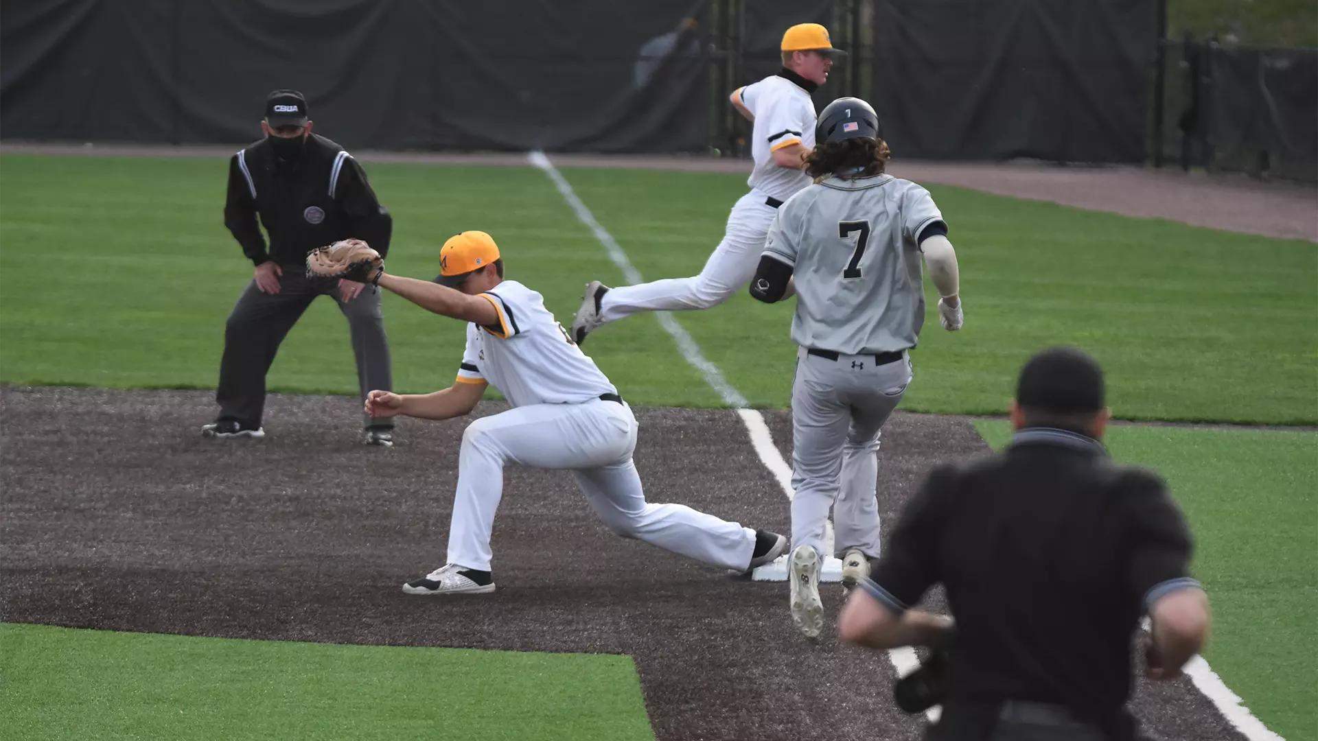 Baseball vs. Shepherd