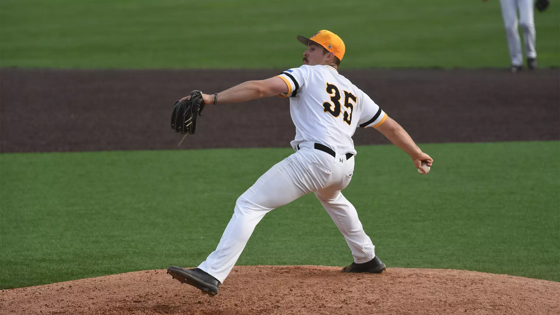 Baseball vs. Shepherd