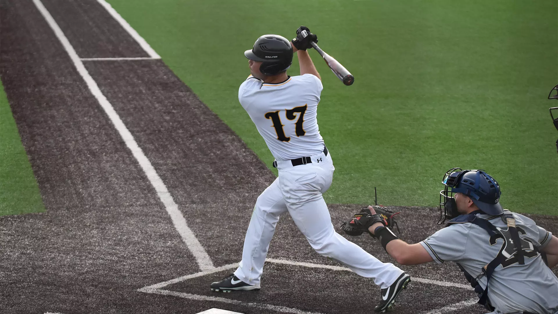 Baseball vs. Shepherd