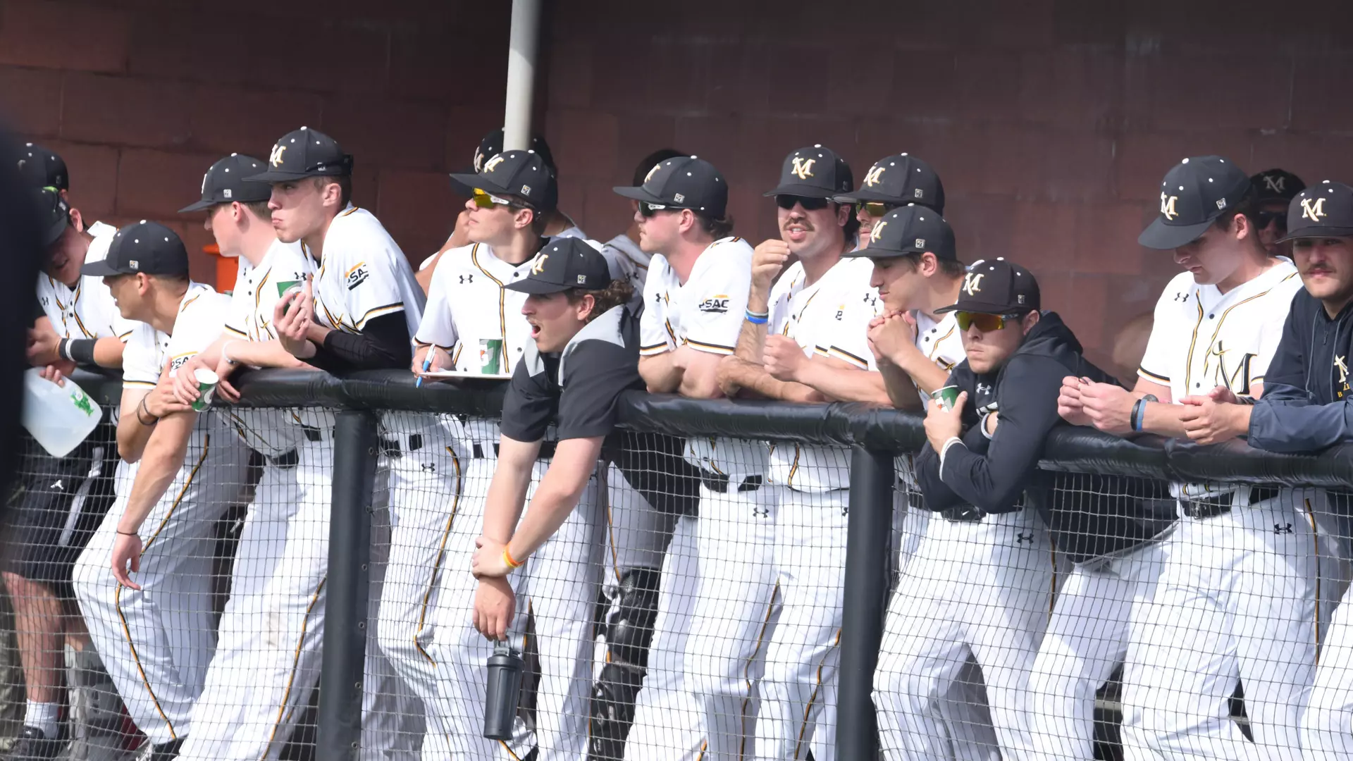 Baseball vs Bluefield State