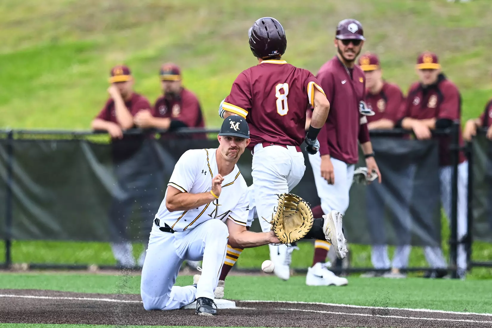 NCAA DII Atlantic Regional game 1, Millersville vs. Charleston at Cooper Park in Millersville, PA on Thursday, May 19, 2022. Mark Palczewski/Millersville Athletics Photo.