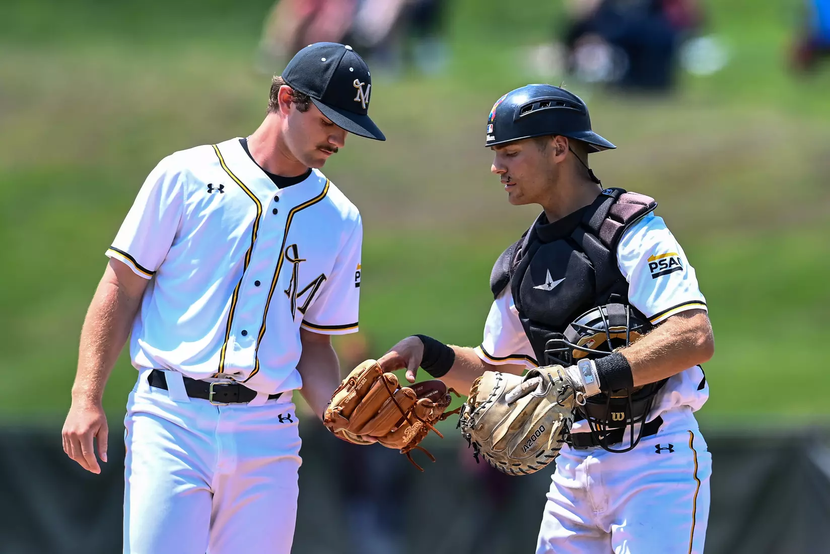 NCAA DII Atlantic Regional game 1, Millersville vs. Charleston at Cooper Park in Millersville, PA on Thursday, May 19, 2022. Mark Palczewski/Millersville Athletics Photo.