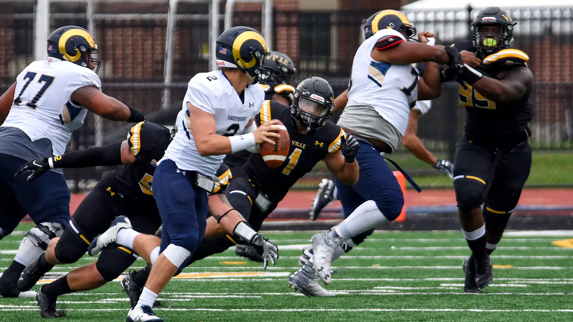 Football vs. Shepherd