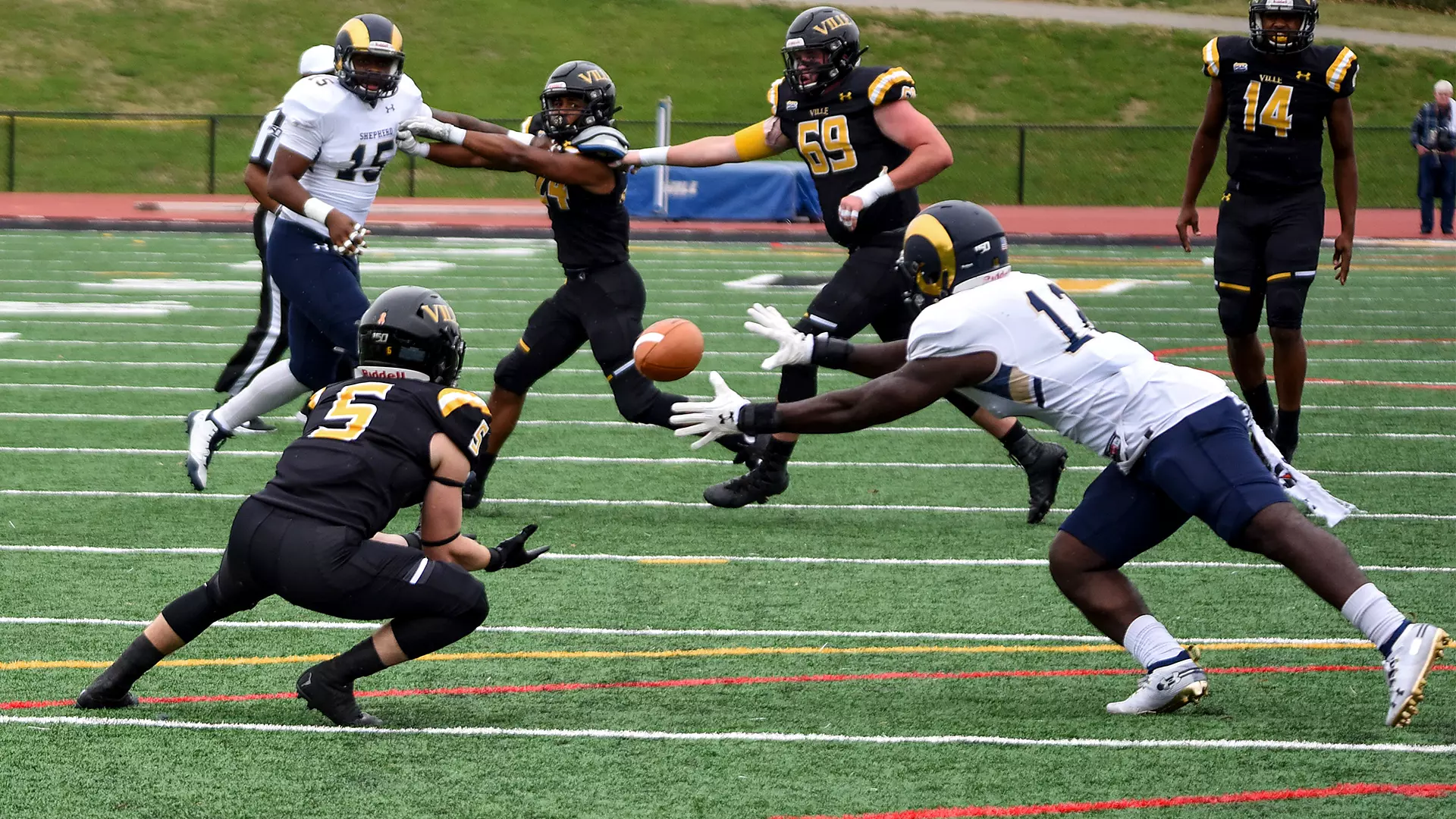 Football vs. Shepherd