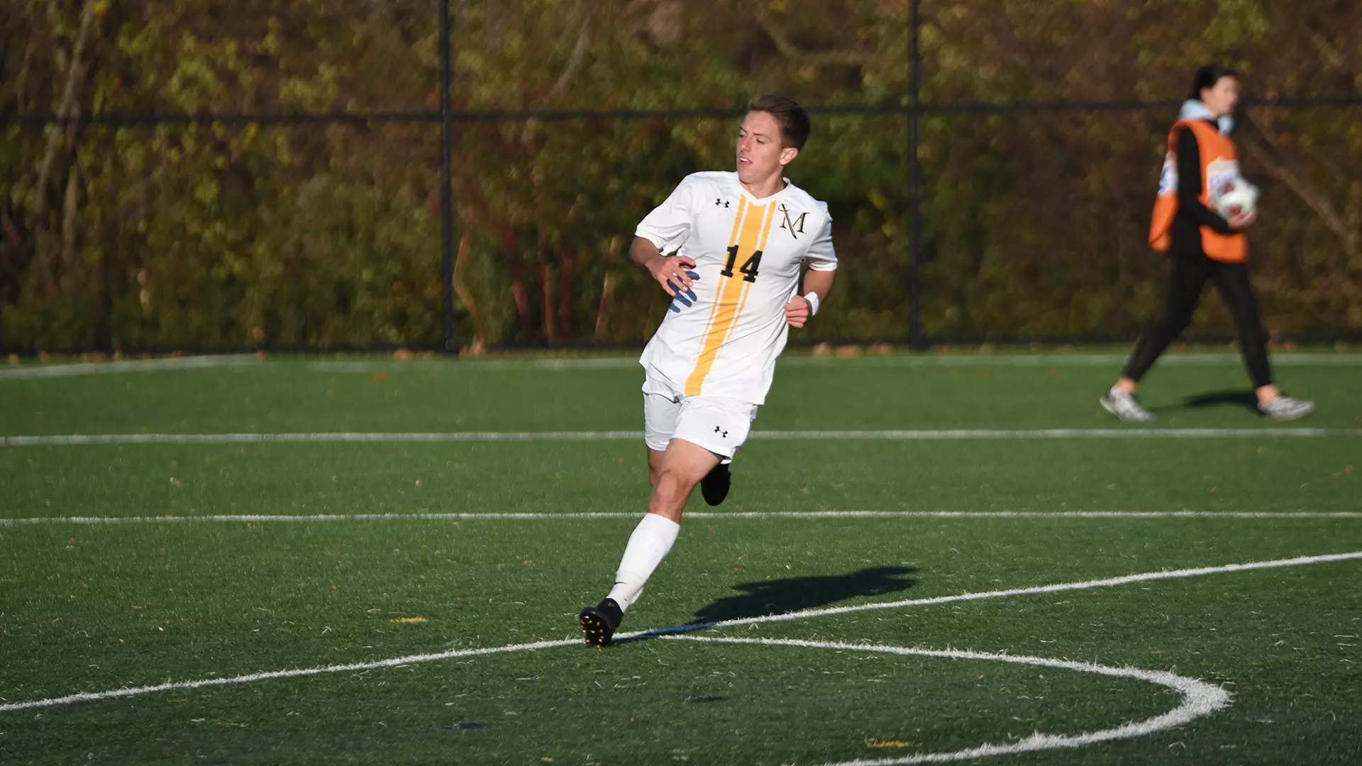 msoc vs shepherd