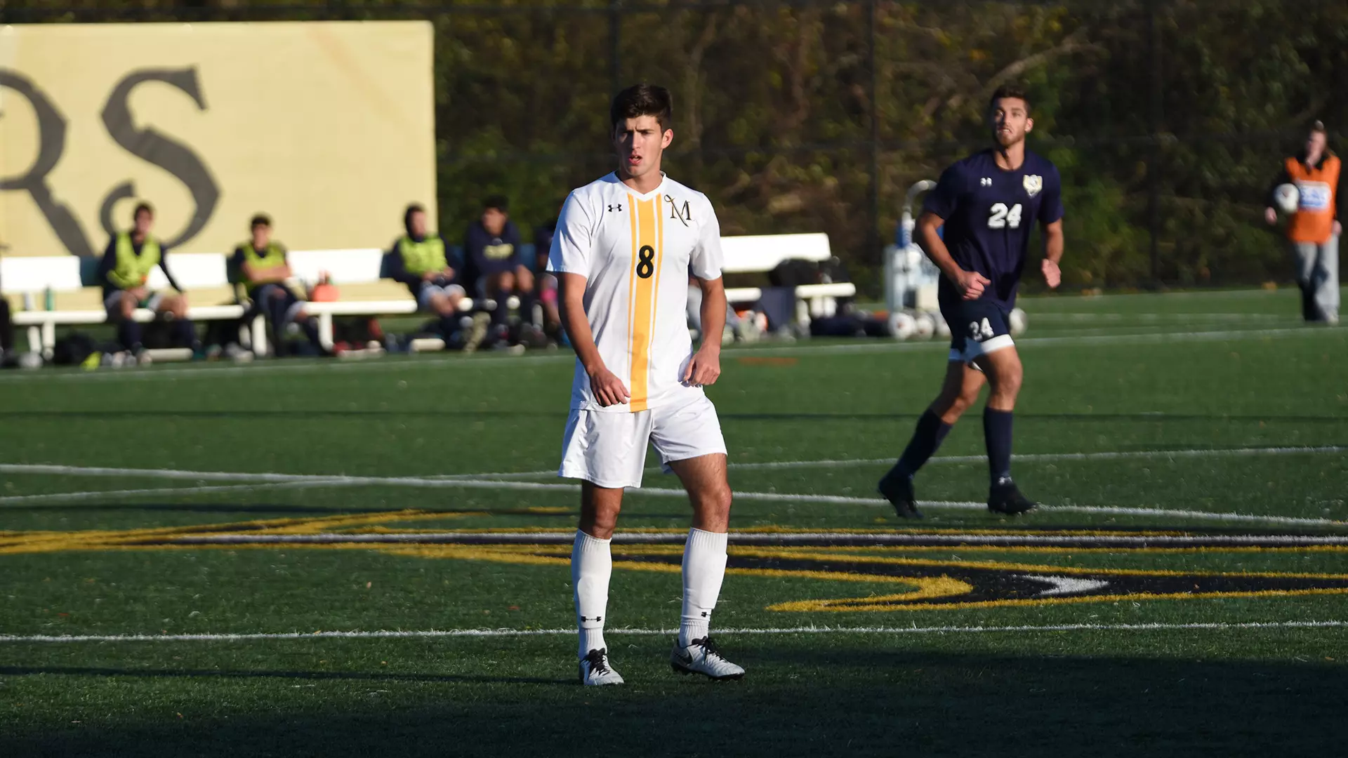 msoc vs shepherd