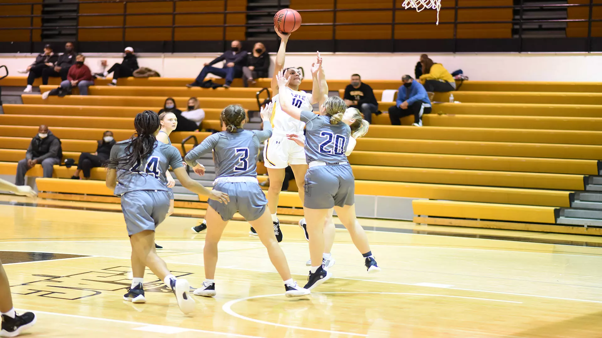 Basketball vs Shepherd