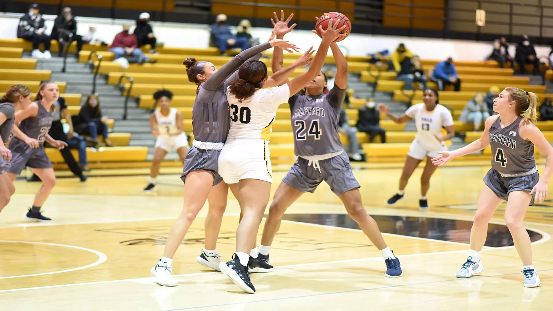 Basketball vs Shepherd