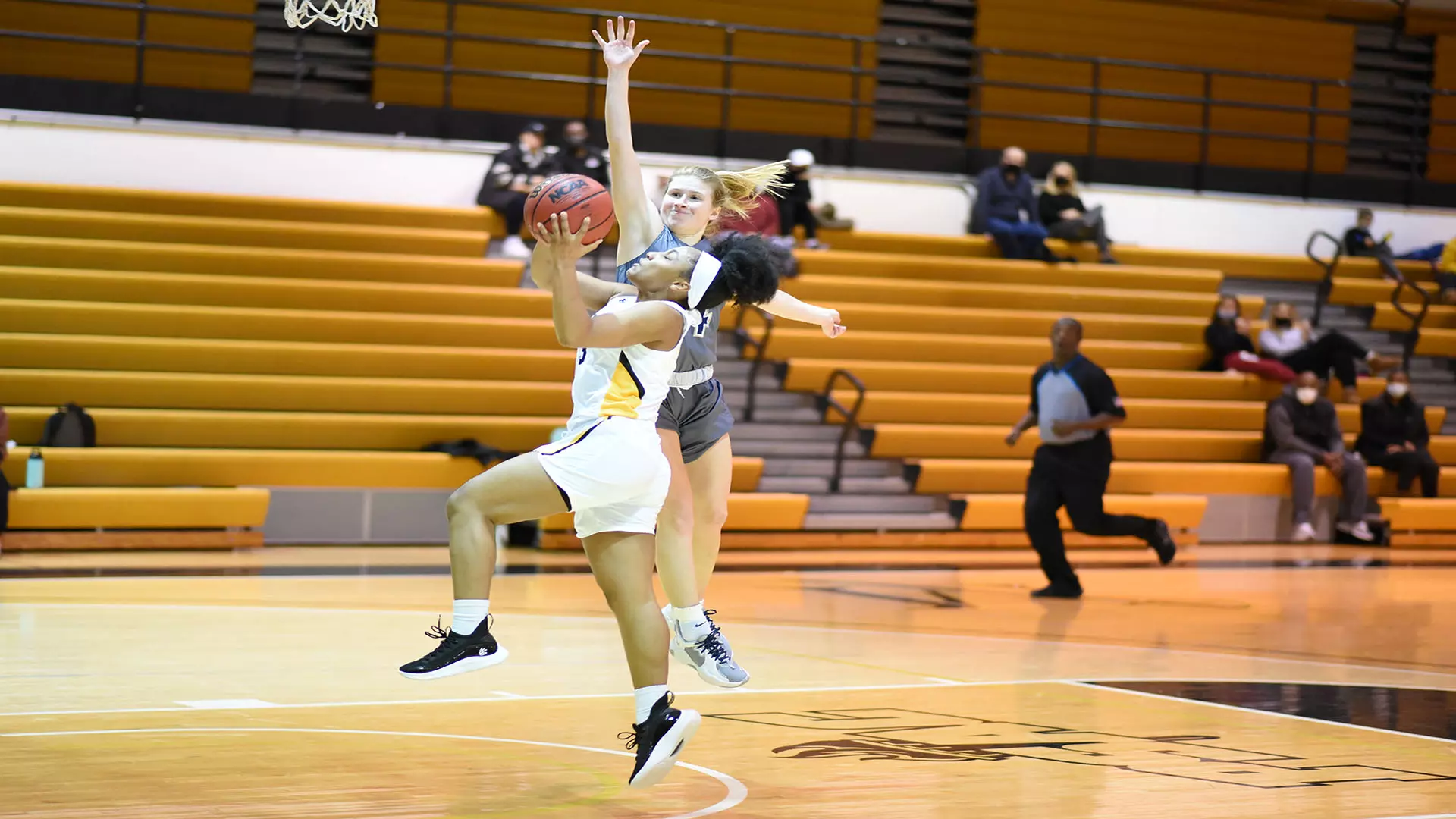 Basketball vs Shepherd