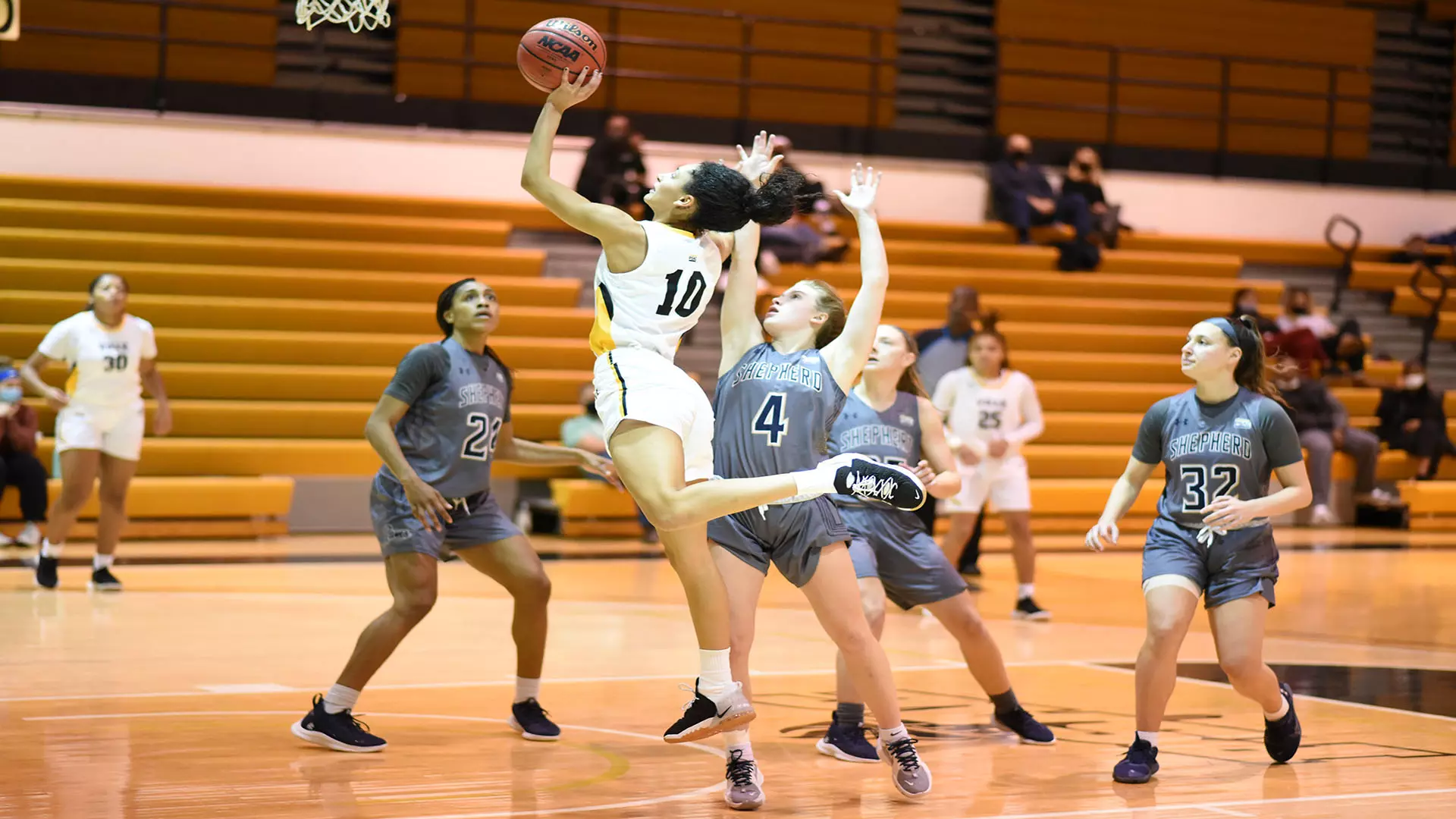 Basketball vs Shepherd