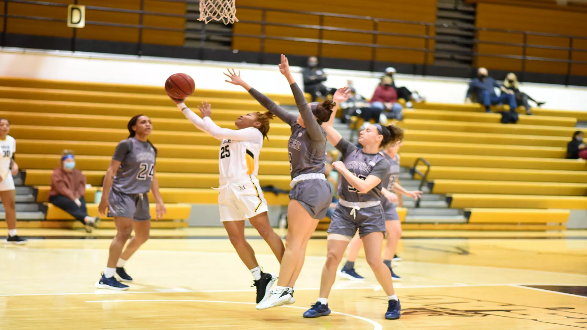 Basketball vs Shepherd