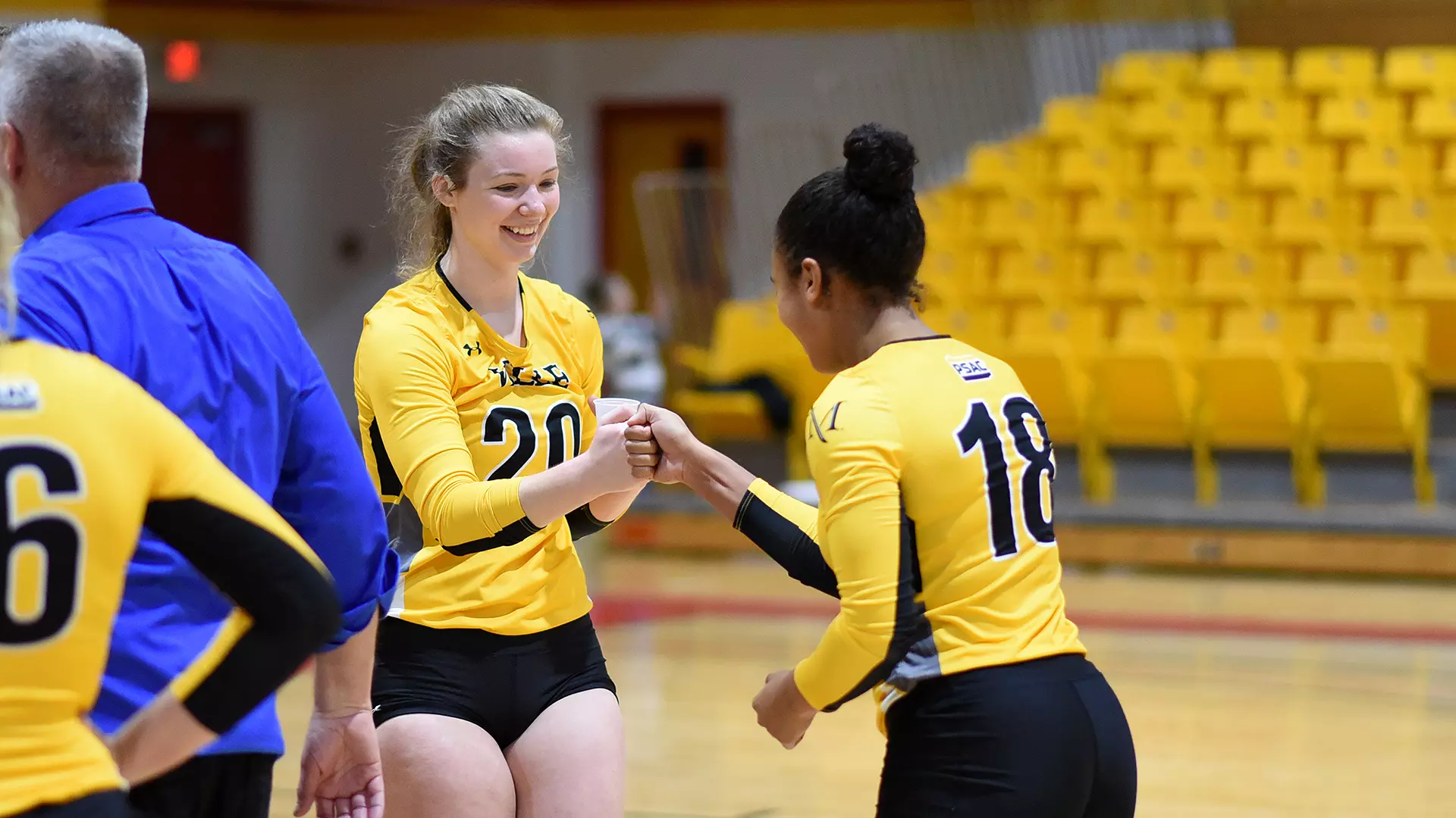 Women's Volleyball (NCAA Tournament)