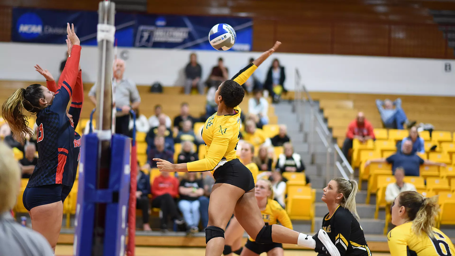 Women's Volleyball (NCAA Tournament)