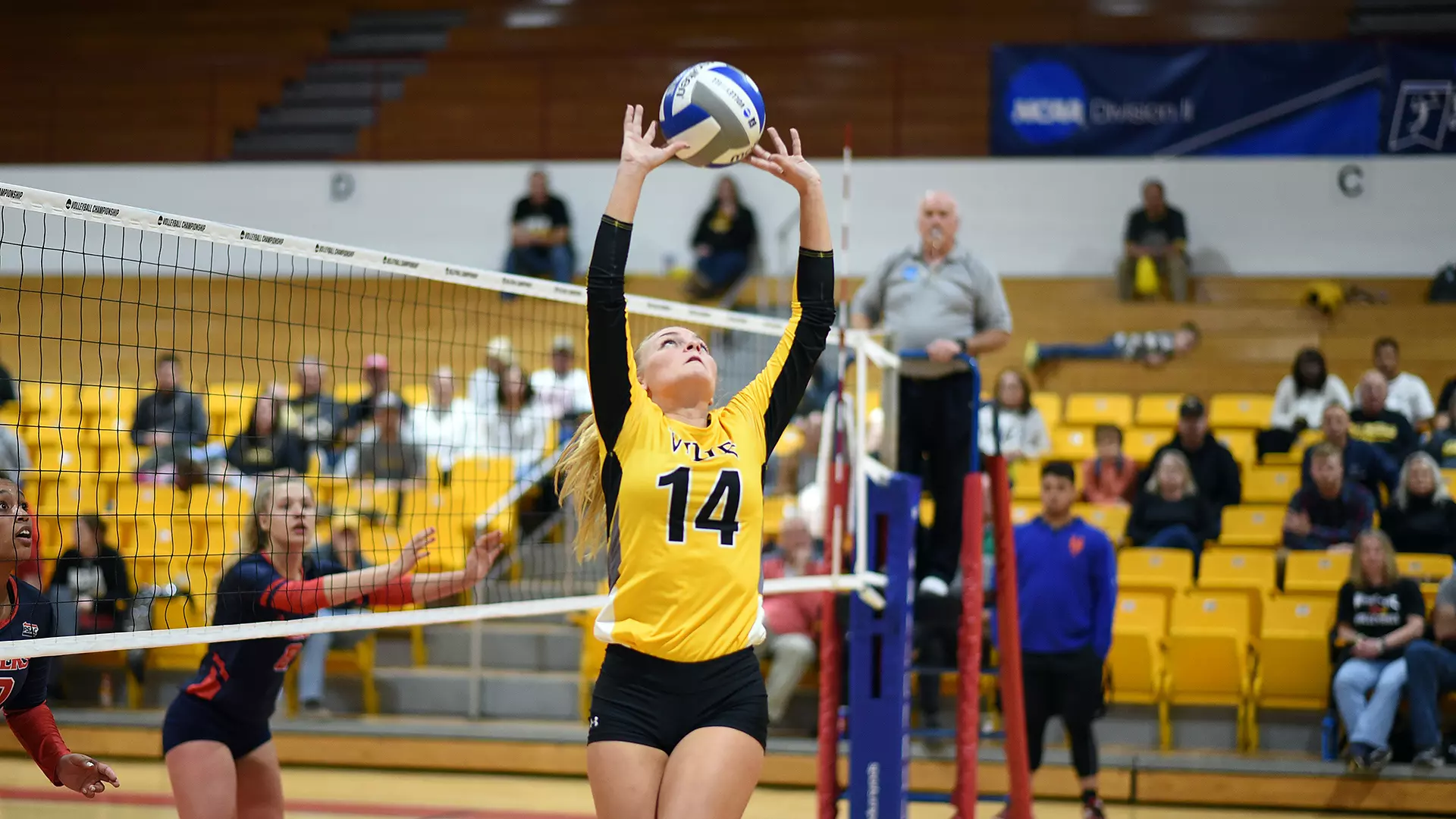 Women's Volleyball (NCAA Tournament)