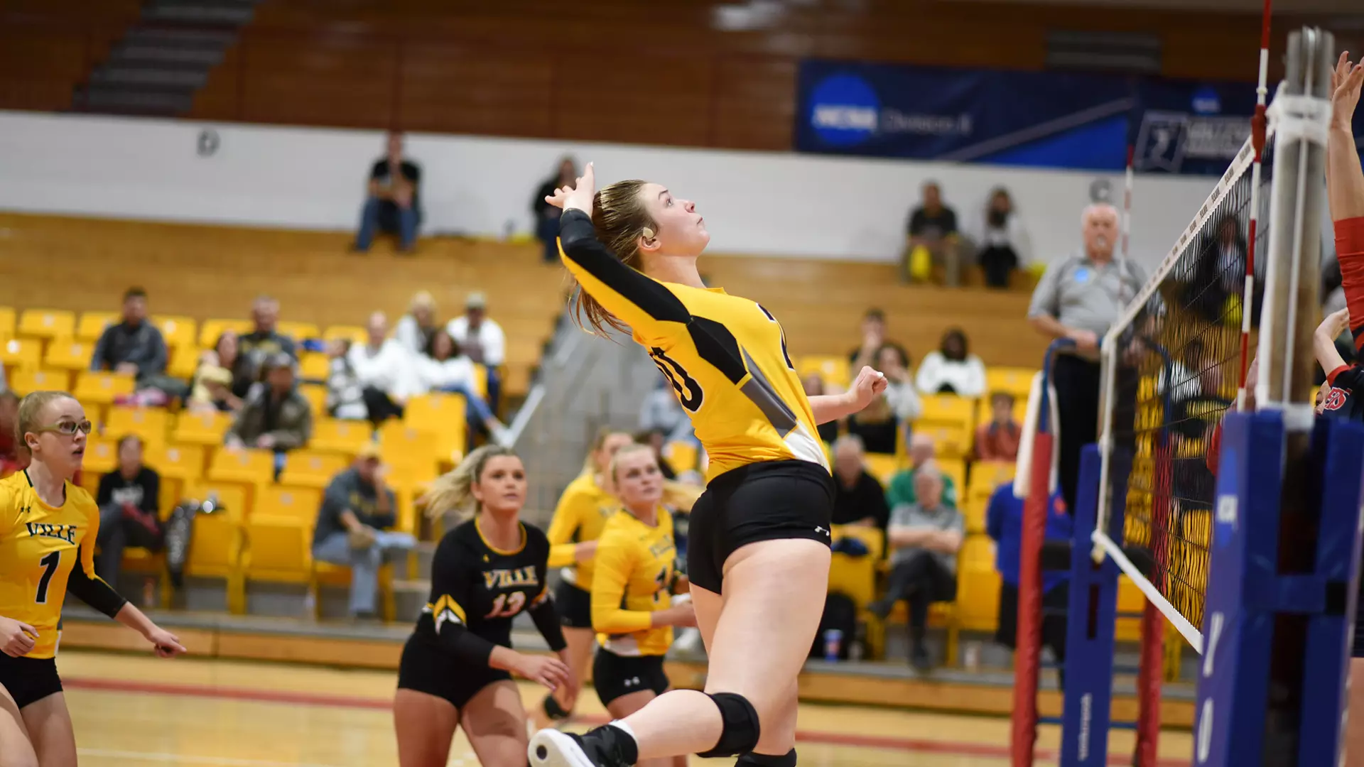 Women's Volleyball (NCAA Tournament)